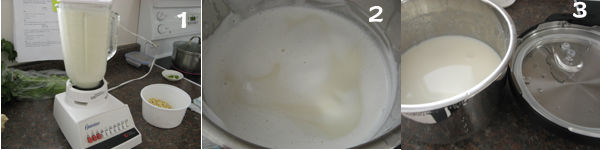 香醇豆浆DIY11 Soy Milk DIY