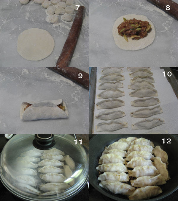  【Potstickers with Zucchini and Meat filling】