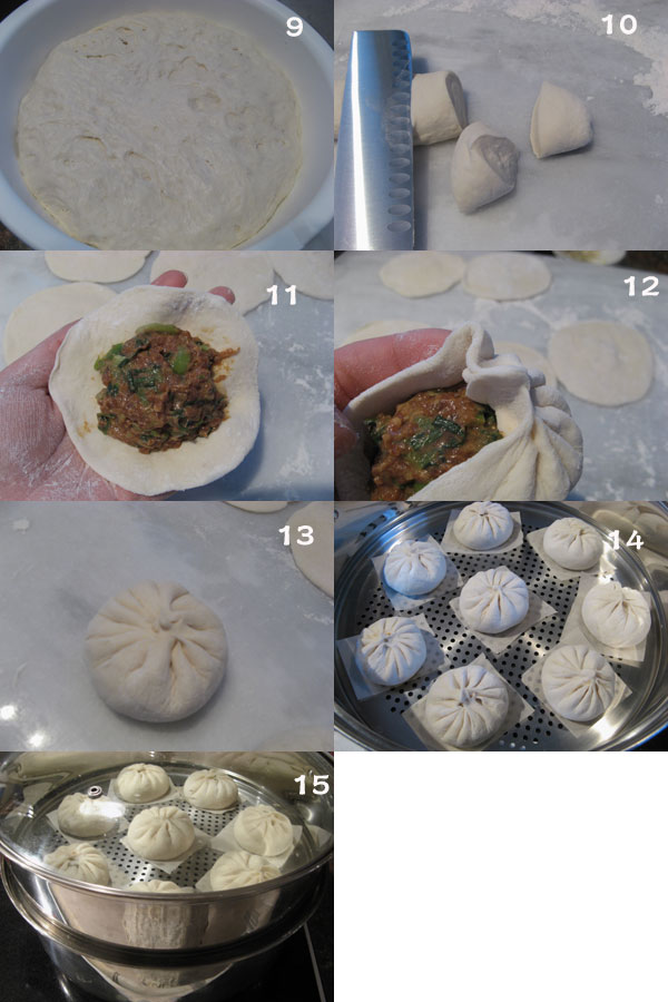菜肉包子2 【Steamed Buns】  Bao Zi