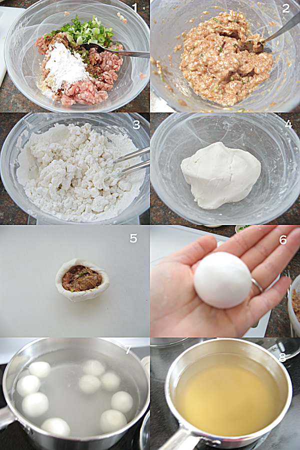  鲜肉汤圆 Glutinous Rice Balls with meat filling