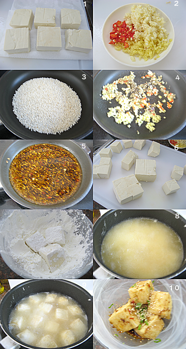  香辣芝麻豆腐 Spicy sesame Tofu