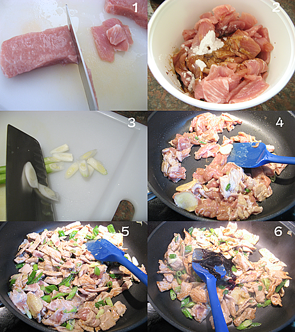  葱炒肉片Pork and green onion stir fry